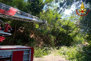 Pesaro - Frana sul San Bartolo: strada invasa da alberi, intervengono i Vigili del Fuoco